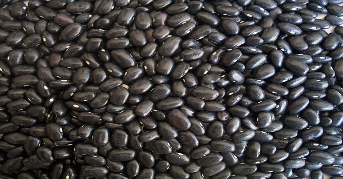 black beans vegetarian weight loss