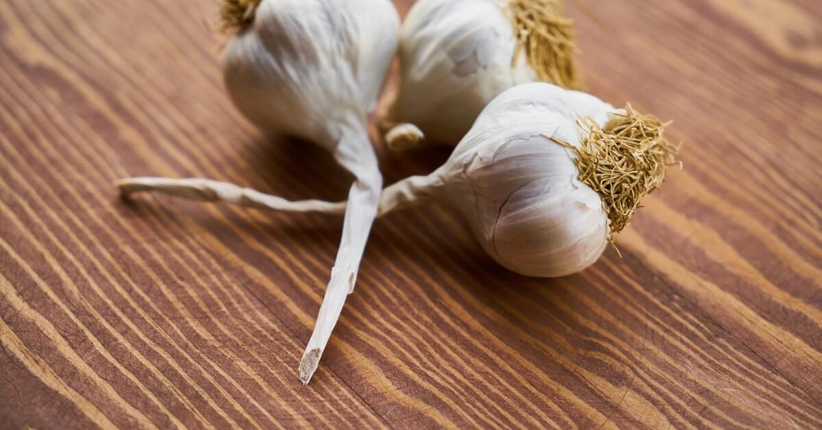 garlic vegetarian weight loss
