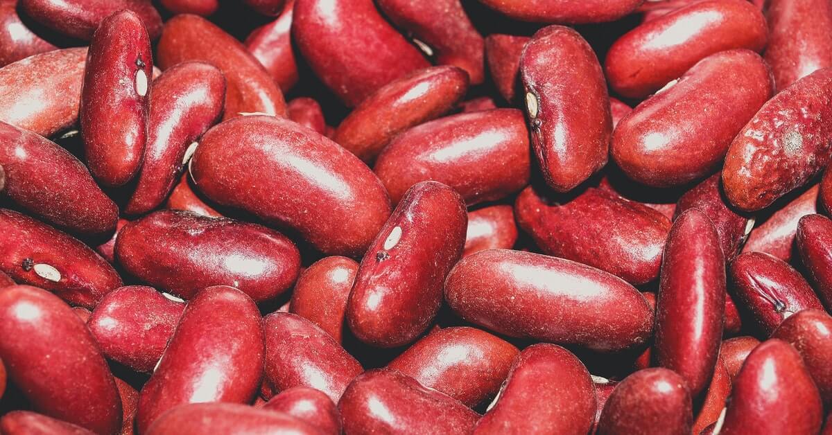 red kidney rajma seeds vegetarian weight loss